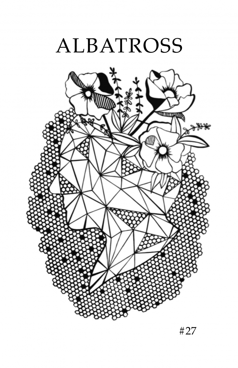 Cover of Albatross issue #27; cover art titled “Amber Matter,” by Portia Apple. Clickthrough to open PDF of Albatross issue #27.
